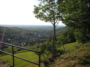 Blick in die Rheinebene