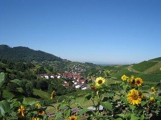 Blick von der Wintereck über den Klotzberg
